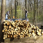 Holztransport