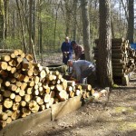 Holztransport