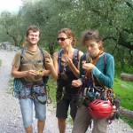 Frische Feigen nach "Little John"